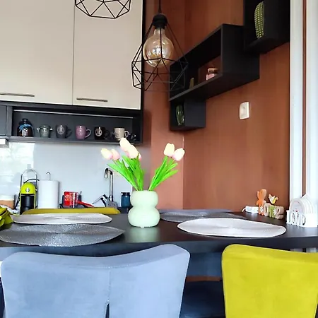 Balkanhill2 S37 Pekovic شقة زلاتيبور